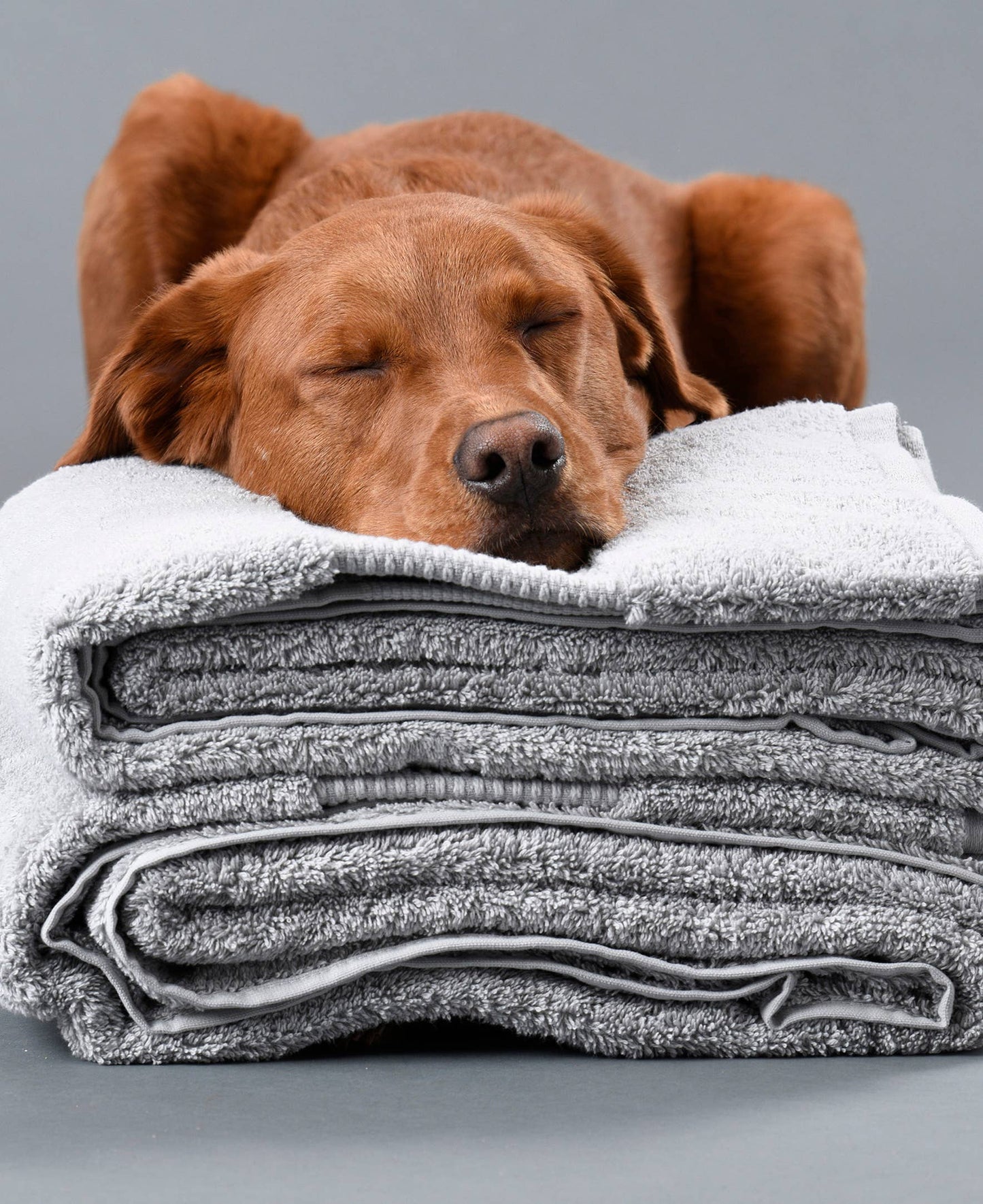 Delilah Home 100% Organic Cotton Extra Large Bath Towel – 36" x 72"